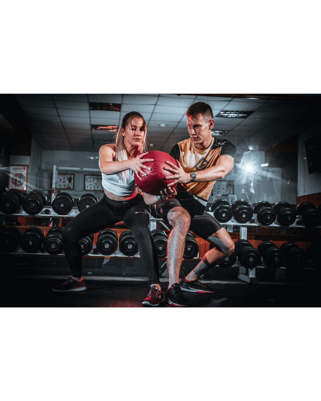 🏋️♂️ The Gym T-shirt Collection